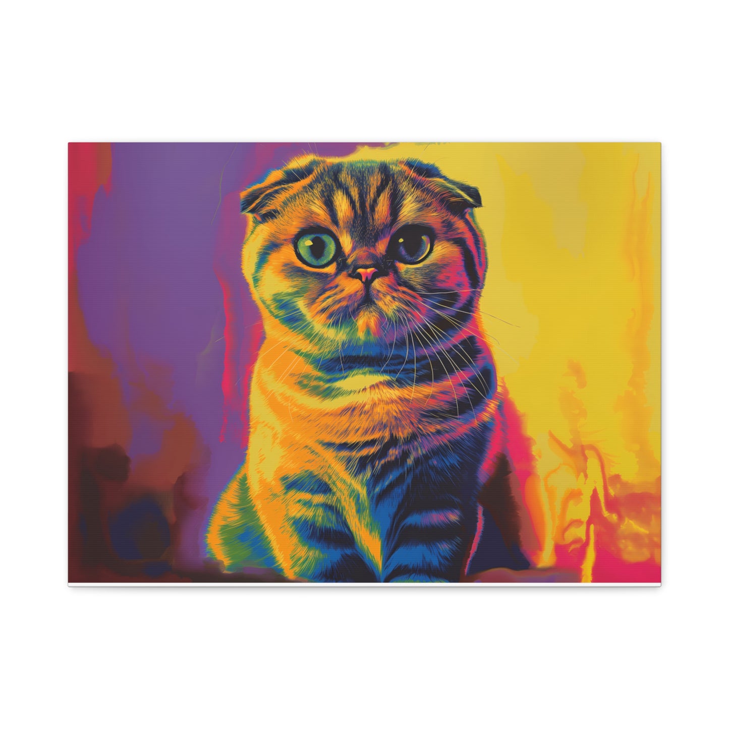 Scottish Fold - Canvas