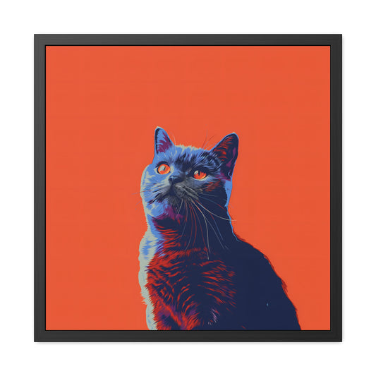 British Shorthair - Framed