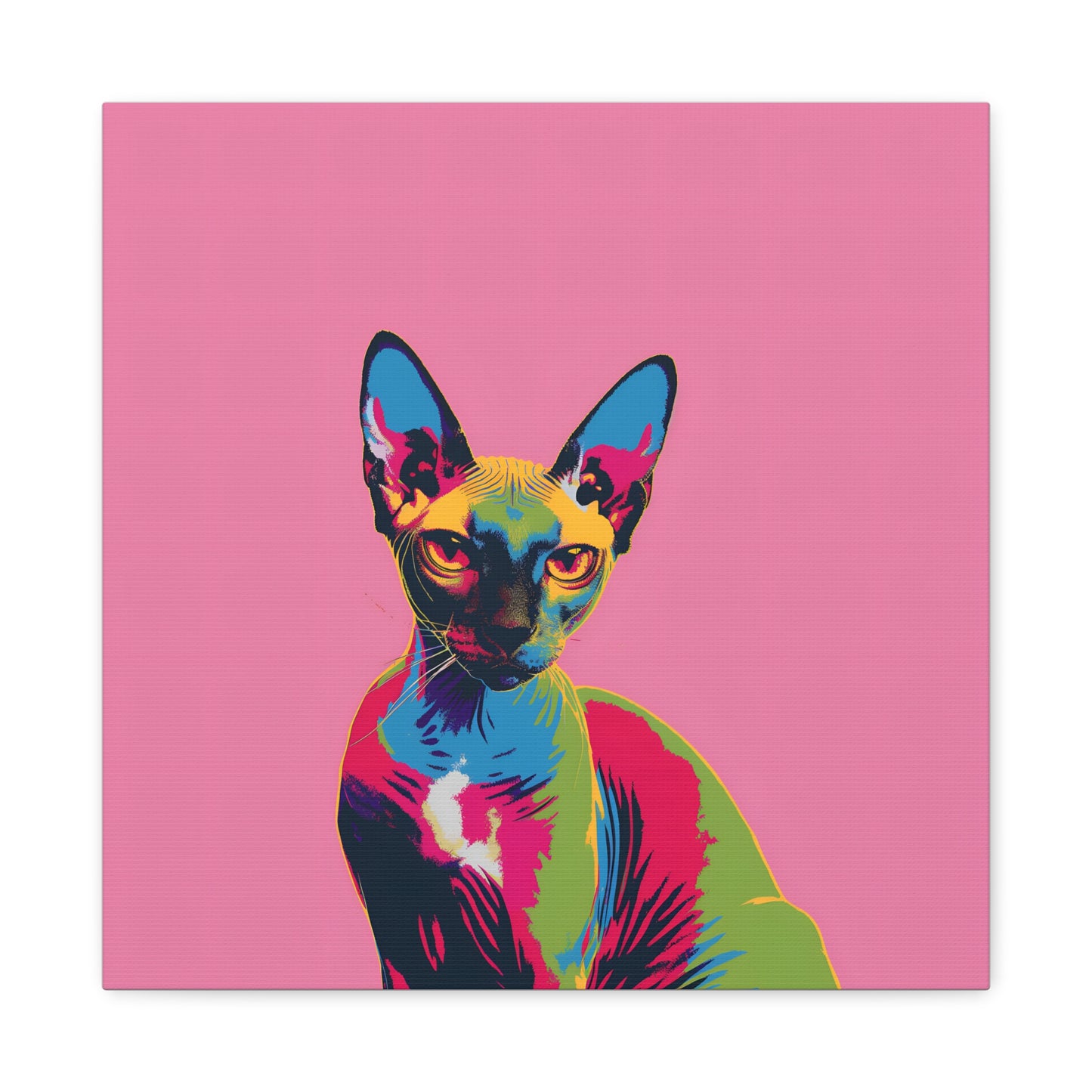 Sphynx - Canvas