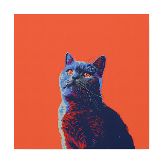 British Shorthair - Canvas