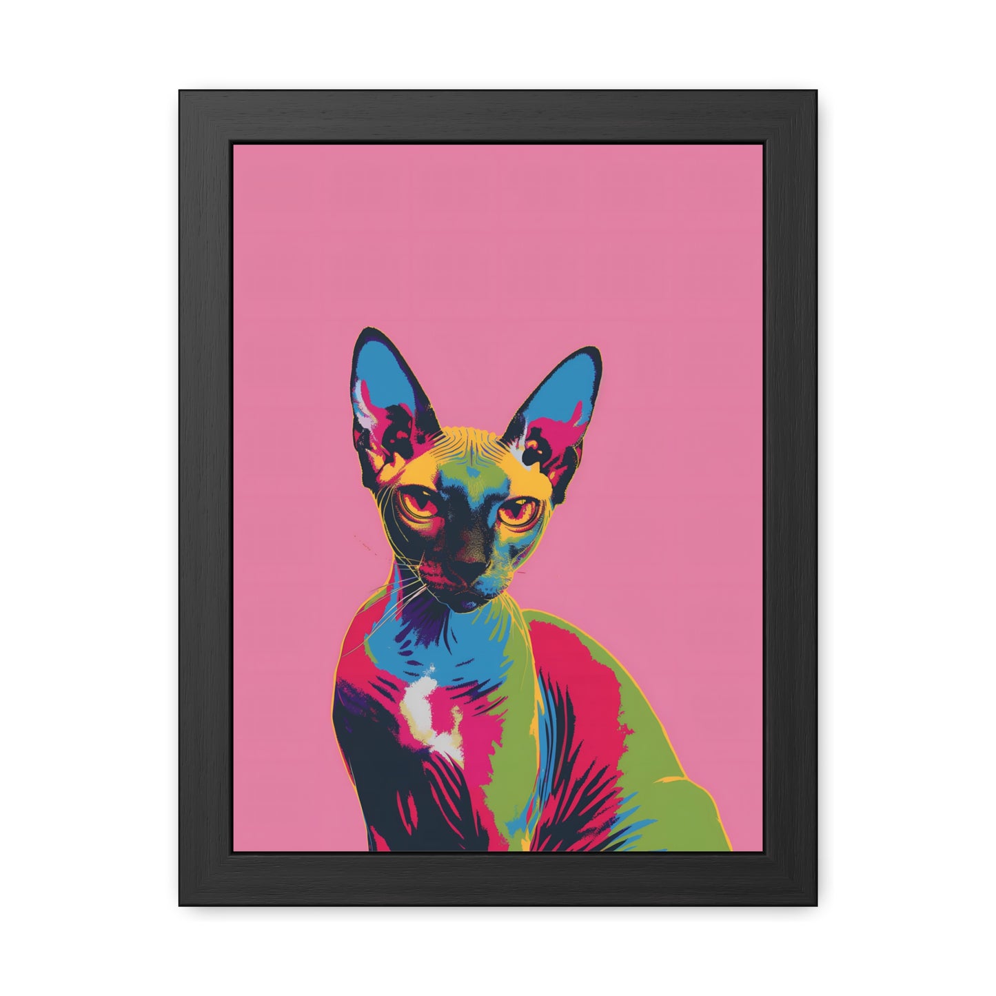 Sphynx - Framed