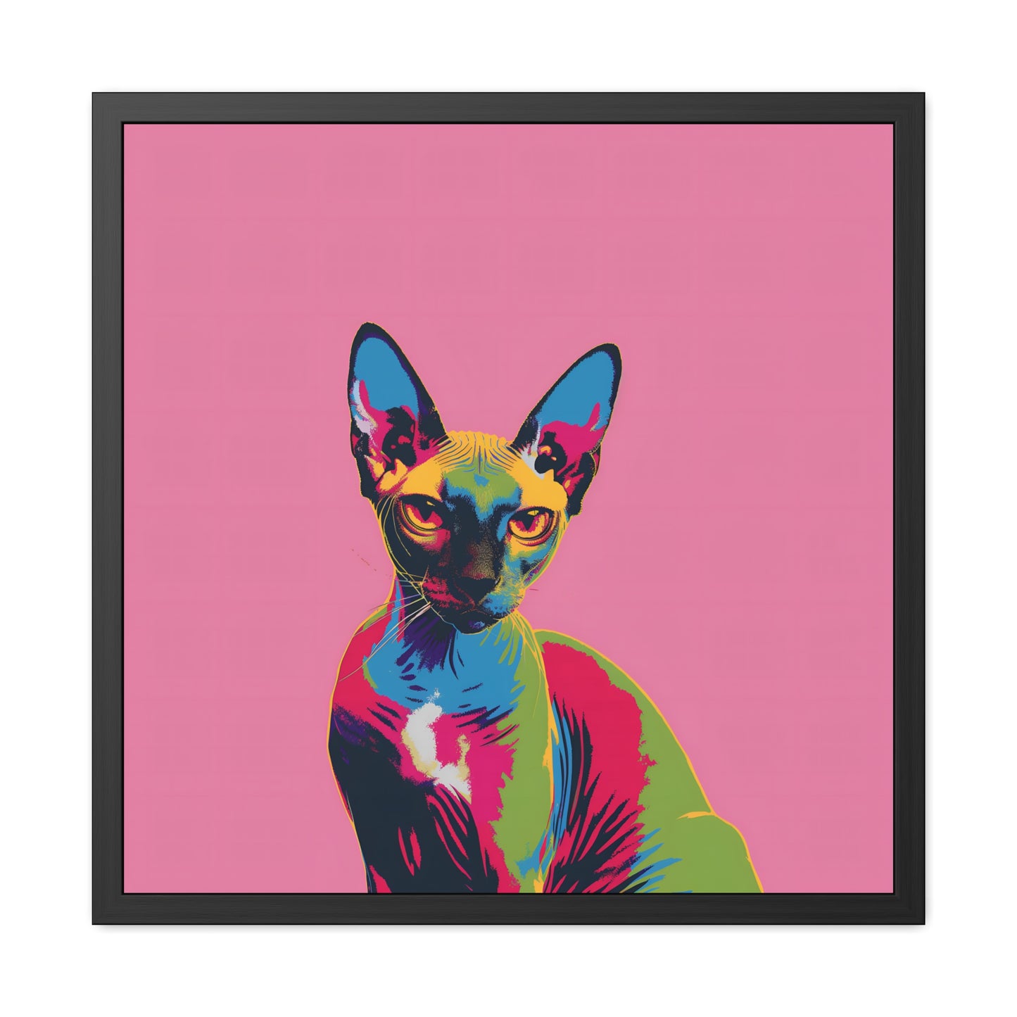 Sphynx - Framed