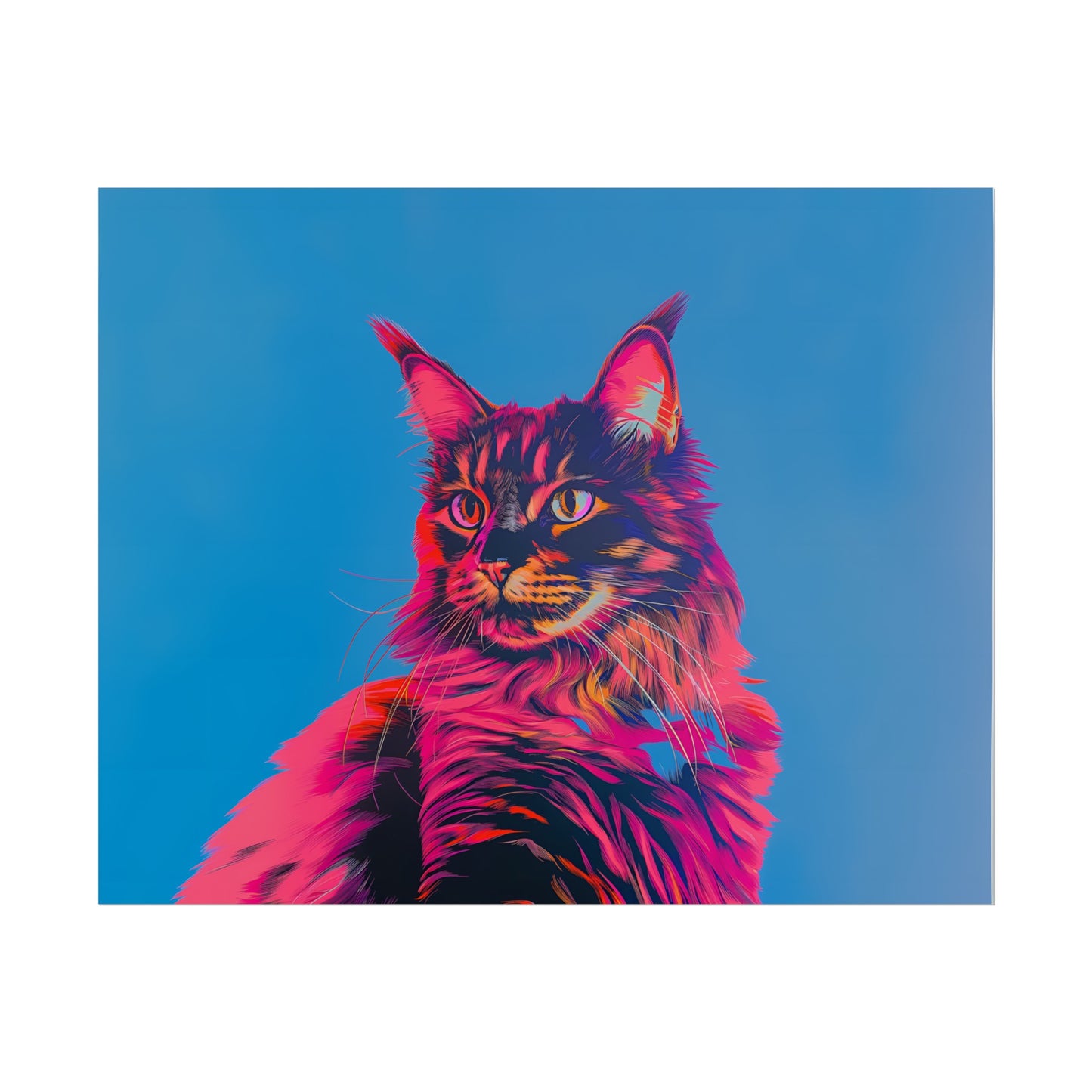 Maine Coon - Poster