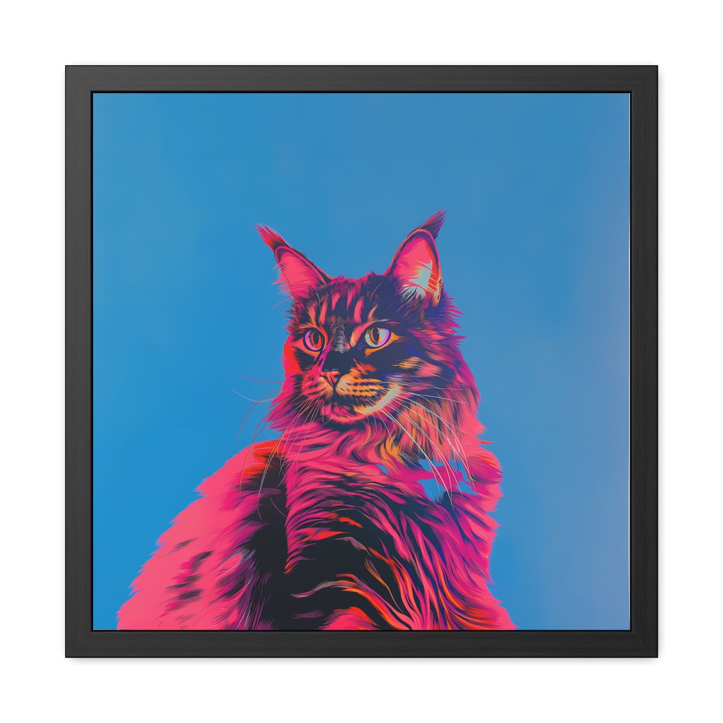 Maine Coon - Framed