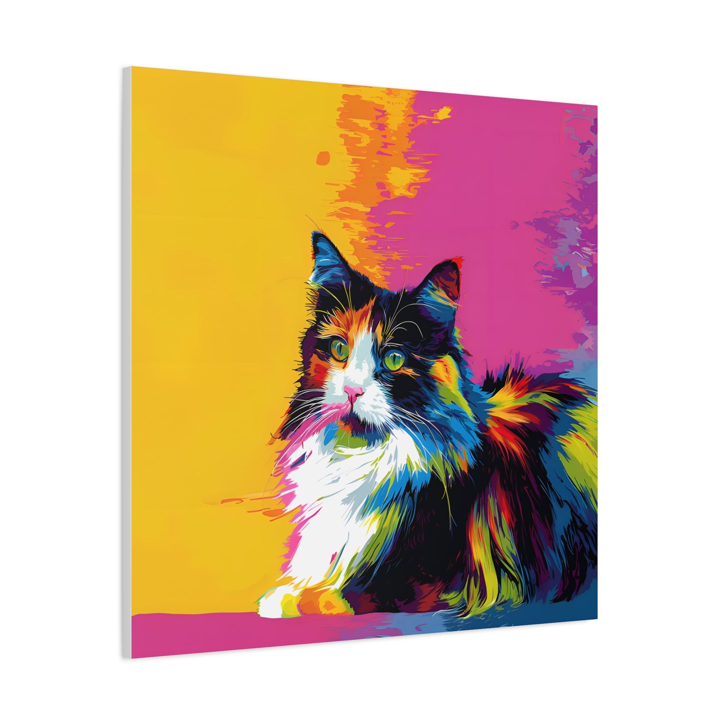 Ragdoll - Canvas