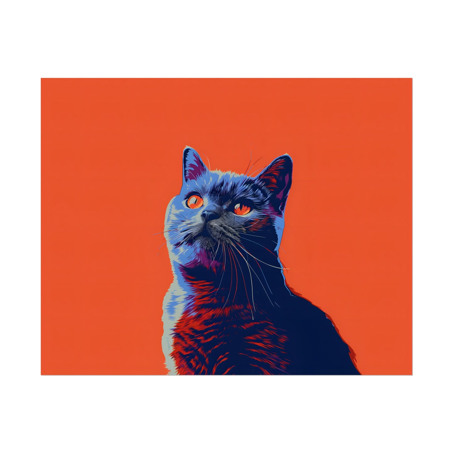 British Shorthair - Poster