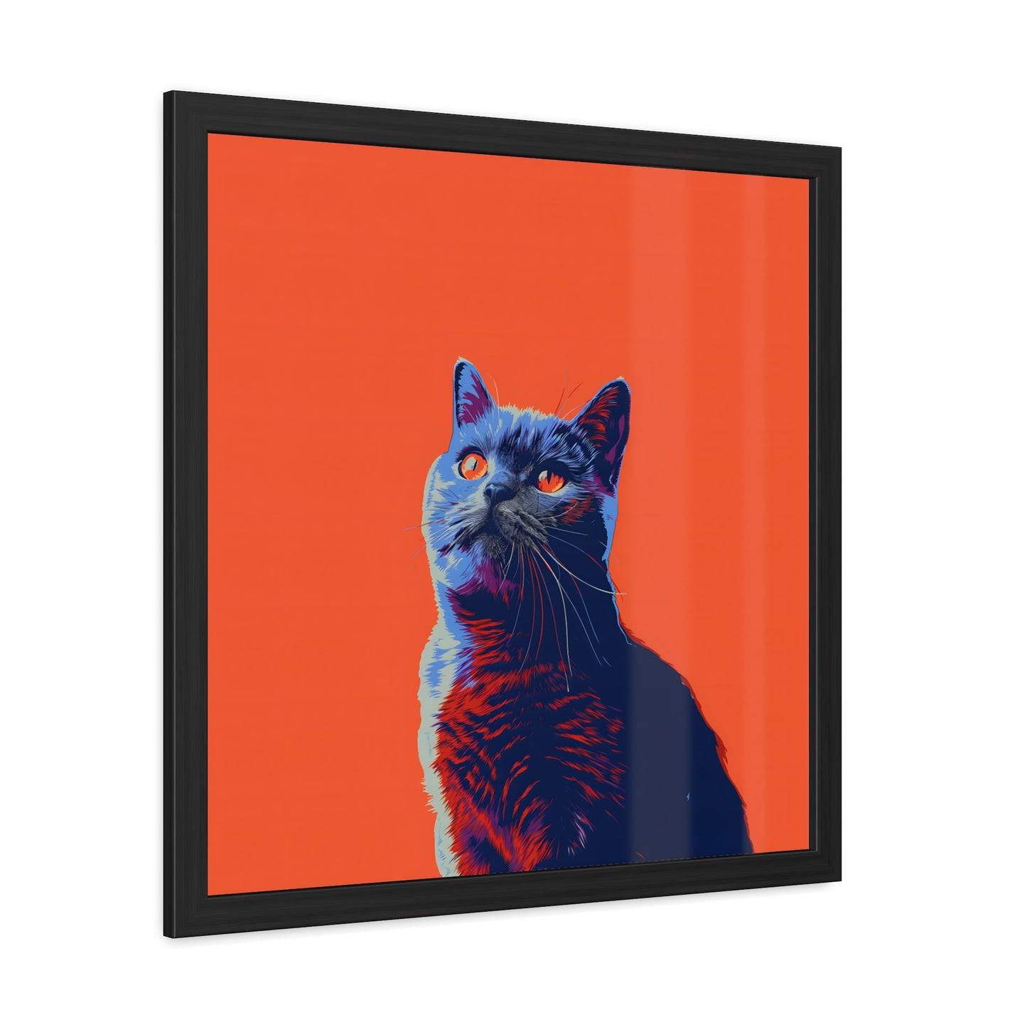 British Shorthair - Framed