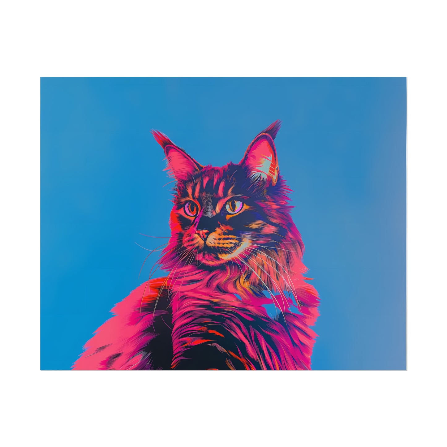 Maine Coon - Poster