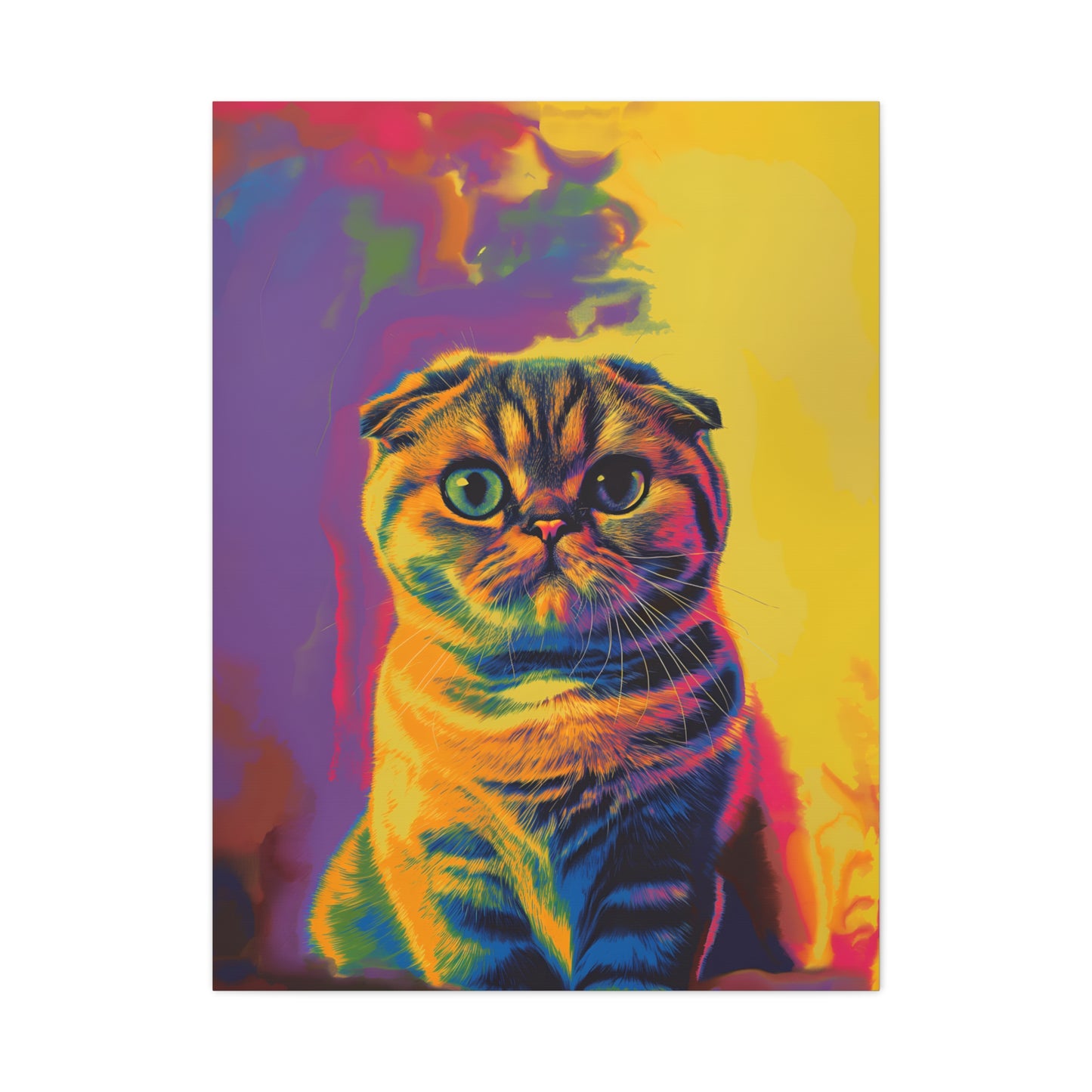 Scottish Fold - Canvas