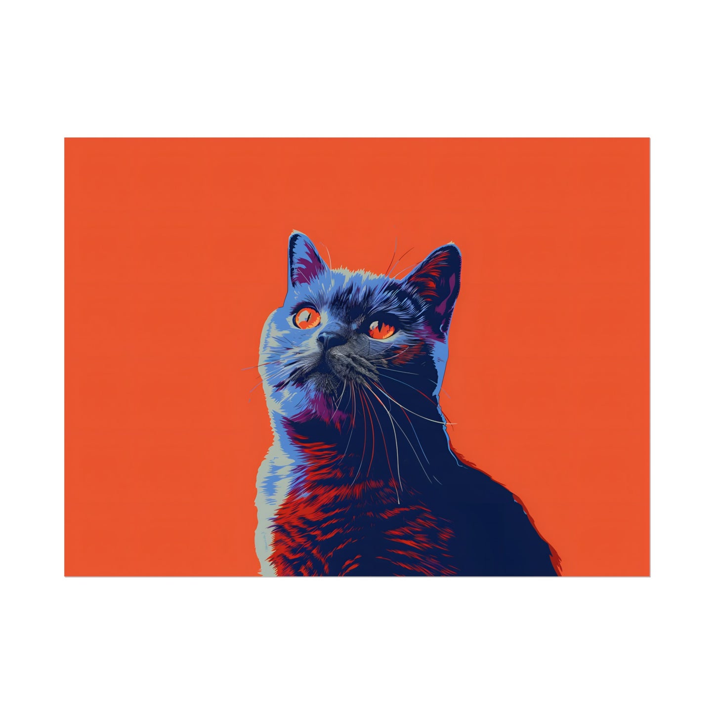 British Shorthair - Poster